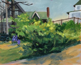 Bush with Lupines
10.5" x 8.5"