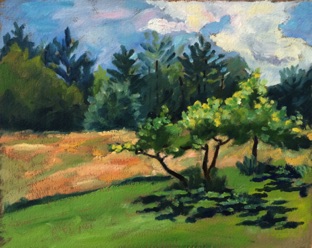 Apple Trees Mid-Summer
10" x 8"