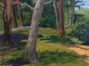 Horn Hill Woods
8.25" x 6.25"